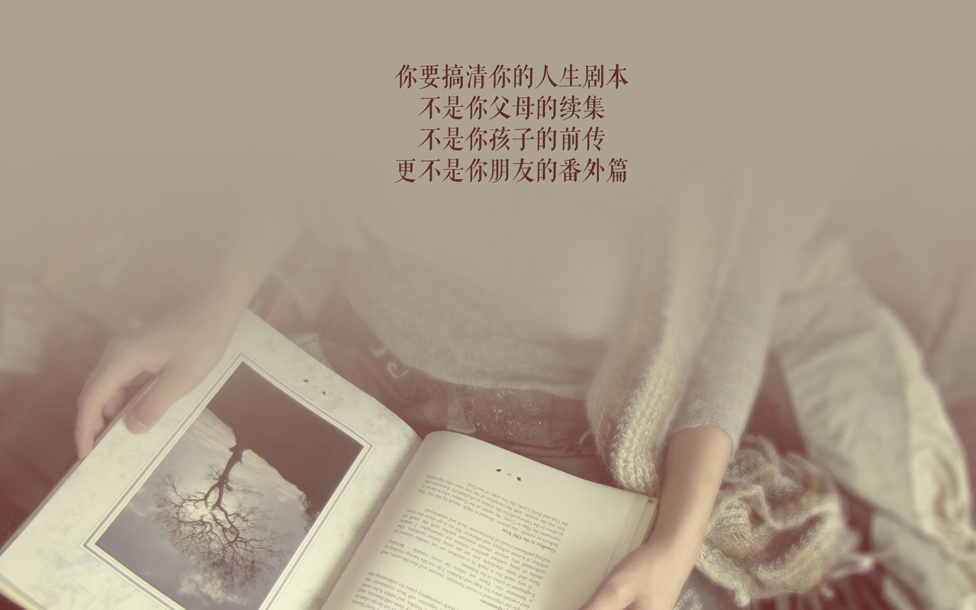 Kaiyun(中国)开云-诺里奇城快速反击，黄蜂军团盼摆脱降级，诺里奇城堡