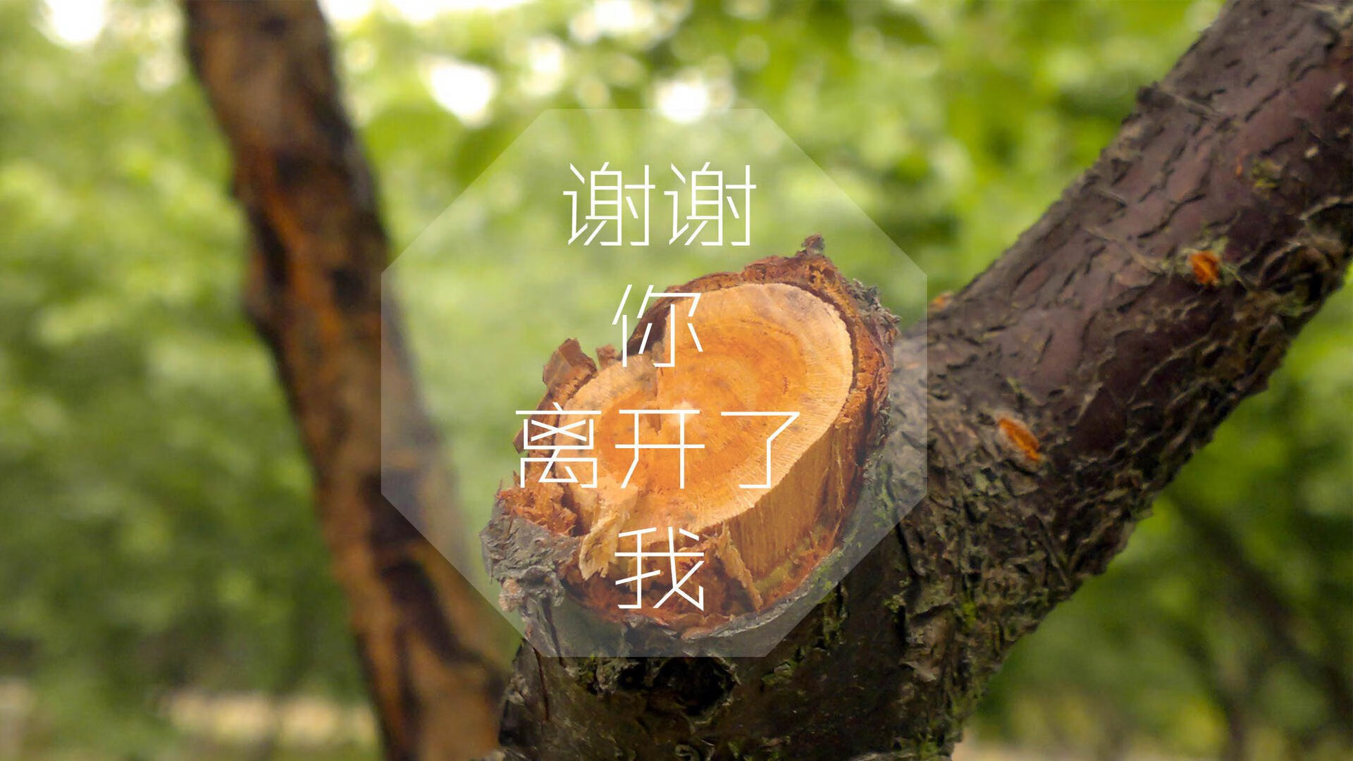 韩旭与队友配合日益默契，韩旭与队友配合日益默契的电影
