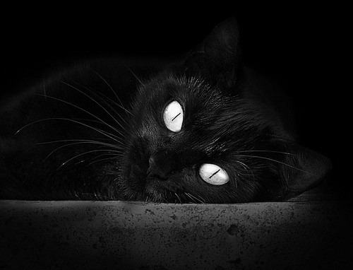 kaiyun官方入口登录-弗朗索瓦·斯图尔特：南非队的中场魔术师，关键传球成就得分机会