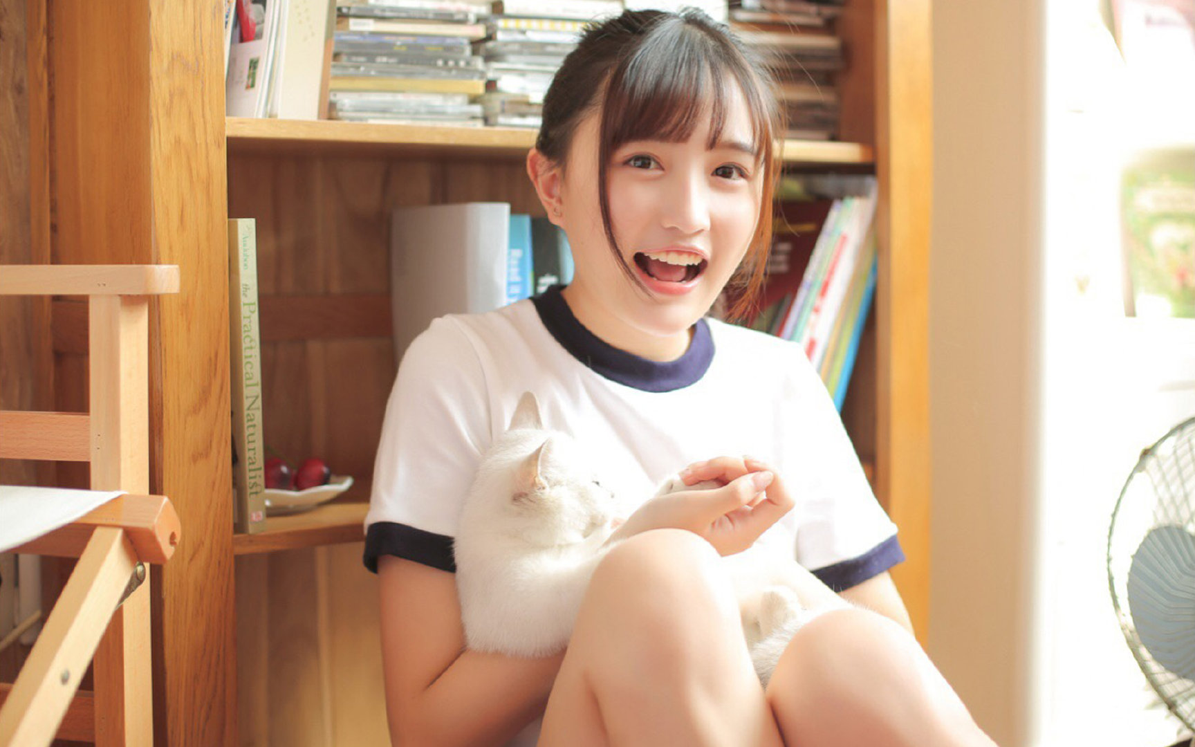 德甲战术变革：变化多端精彩不断！，德甲格局