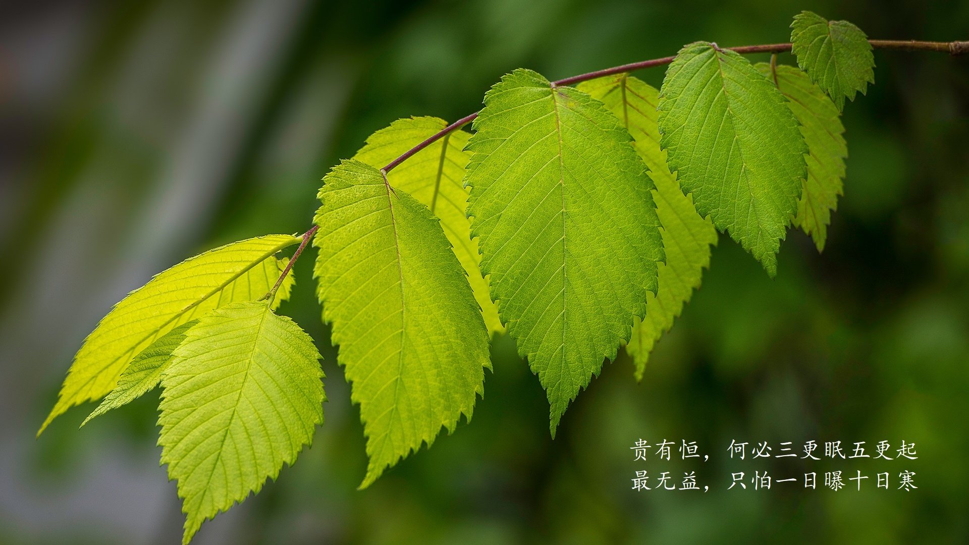 社交平台话题热度不断攀升球迷讨论氛围异常火爆，社交平台非常火的系列