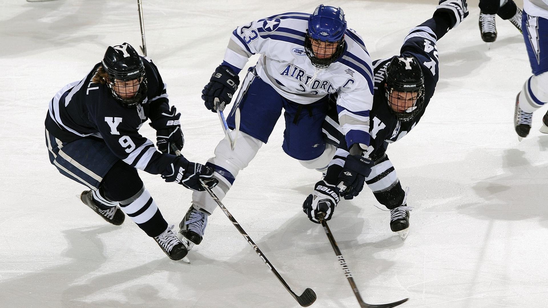 德甲俱乐部积极探索数字化转型，提升观赛体验，德甲俱乐部关系网