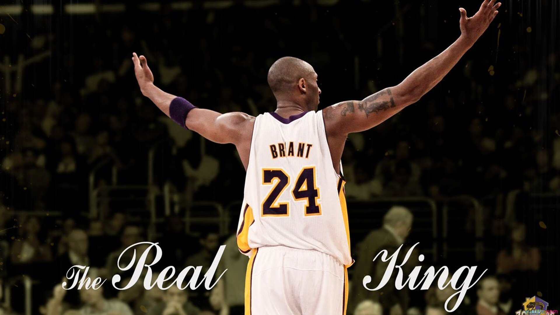 青年领袖计划推动青少年篮球行业持续创新与发展，青少年篮球事业有哪些目标